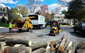 Best Firewood Processing and Delivery  in Delta, CO